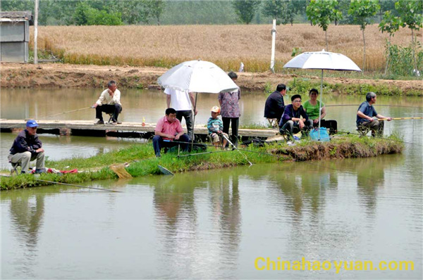 130818451919 J9·九游集团(国际)官方网站-真人游戏第一品牌