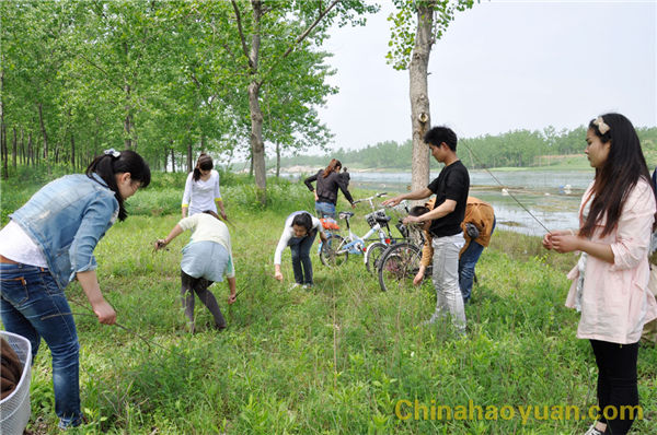 20140424103153 J9·九游集团(国际)官方网站-真人游戏第一品牌