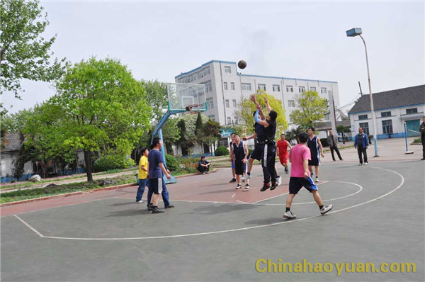 291400218619 J9·九游集团(国际)官方网站-真人游戏第一品牌